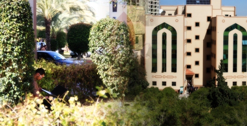 IUG ranked as the 1st among Palestinian and Arab Universities