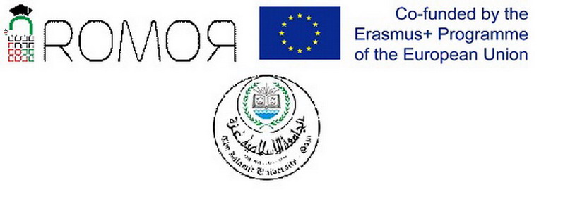 Workshop To Evaluate ROMOR Project